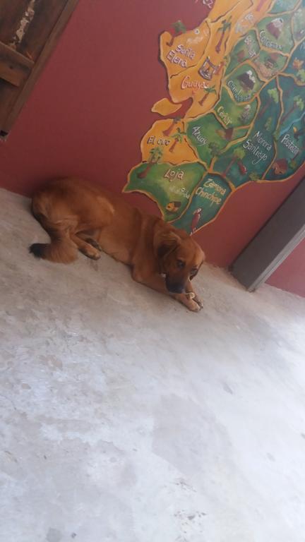 Hospedaje Dannita B&B Jipijapa المظهر الخارجي الصورة
